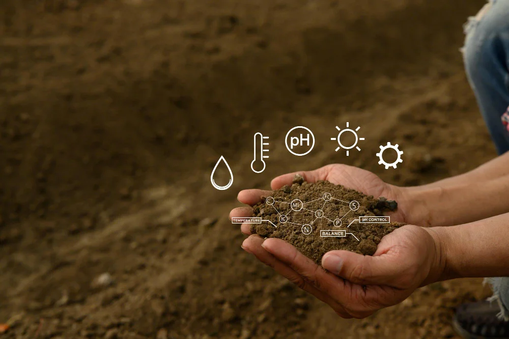 talajelemzés és talajminta vizsgálat