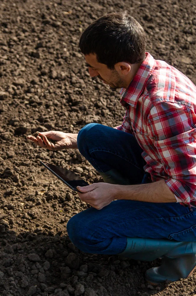 mikroorganizmusok a talajban