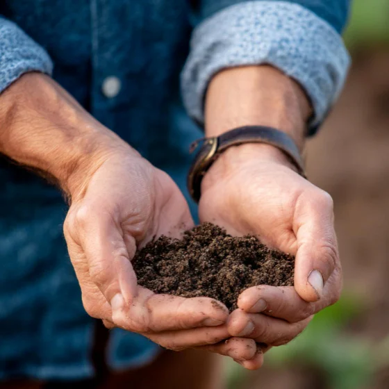 talaj tápanyag utánpótlás