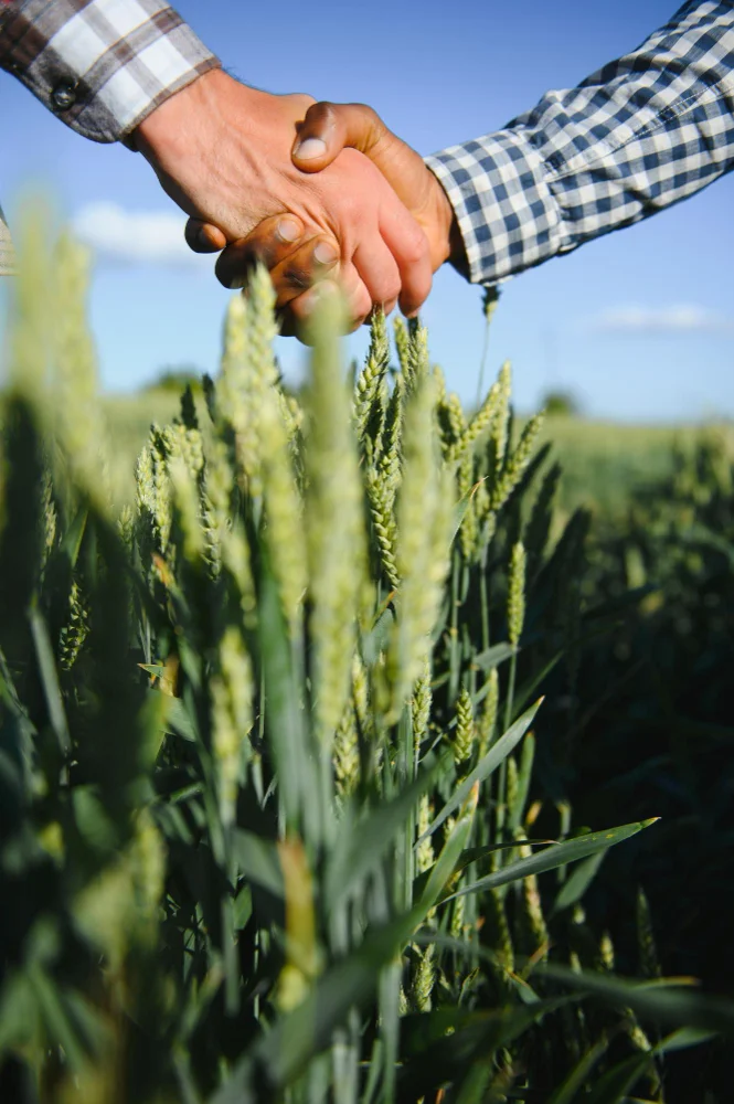 Hogyan válasszunk aminosav készítményt